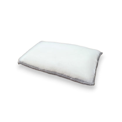 ESPONJA LIMPIEZA INTERIOR CCP